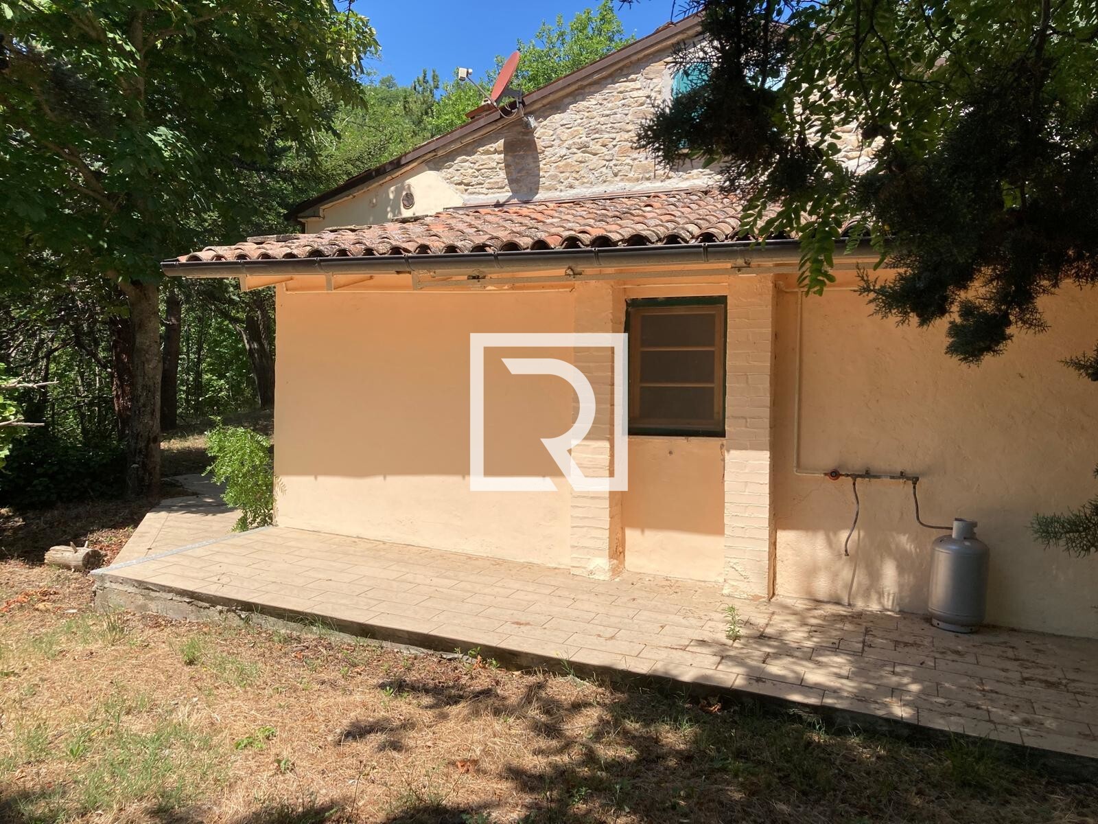 WhatsApp Image 2025-08-05 at 16.15.25 (4)