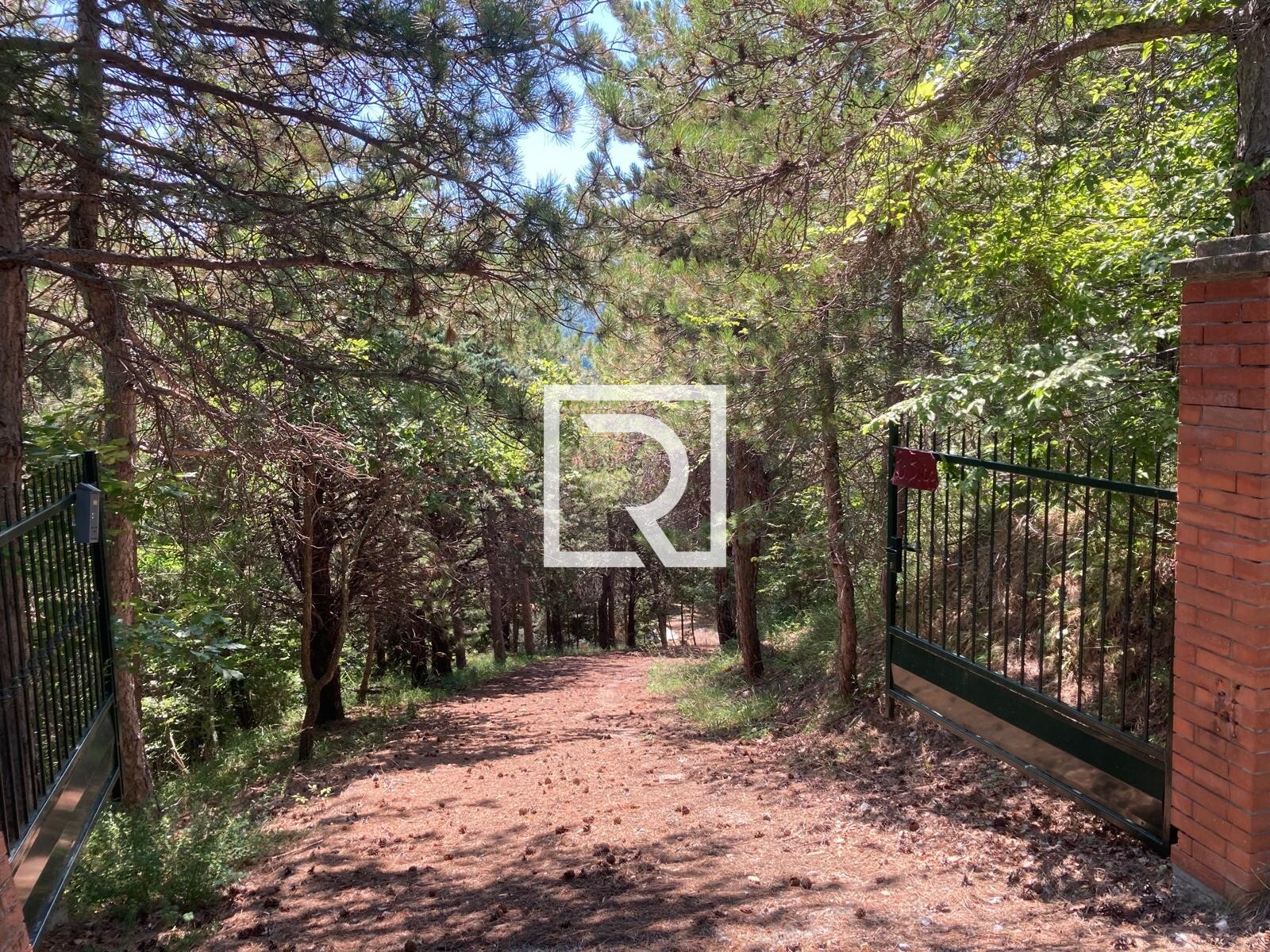 WhatsApp Image 2025-08-05 at 16.15.25