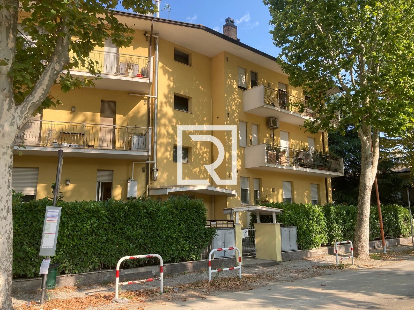 WhatsApp Image 2025-08-06 at 12.26.00