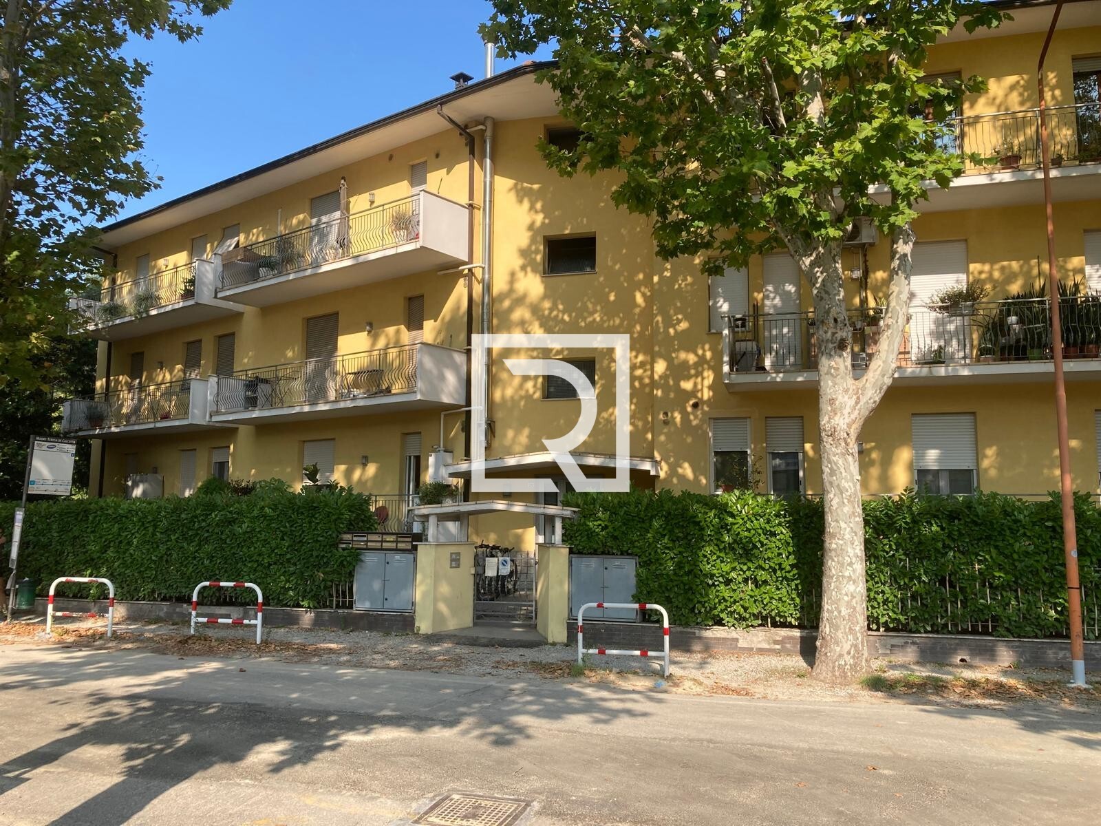 WhatsApp Image 2025-08-06 at 12.26.00 (3)