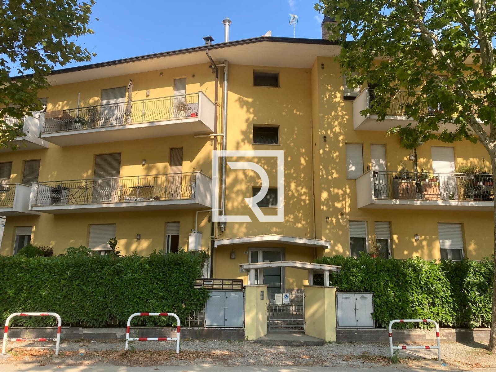 WhatsApp Image 2025-08-06 at 12.26.01 (1)