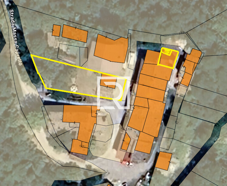 Immagine 2025-09-09 171317