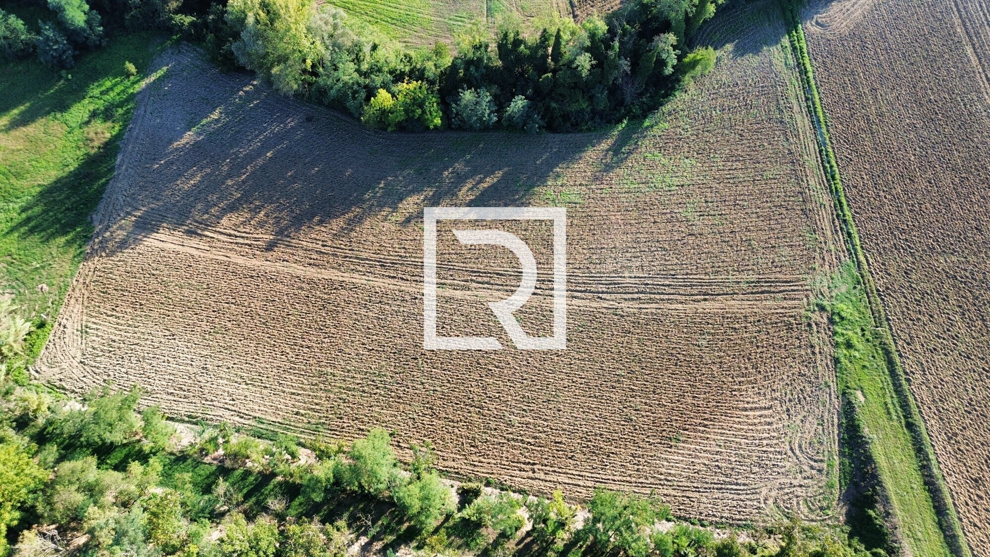 dji_fly_20250917_113538_608_1758274311713_photo_optimized