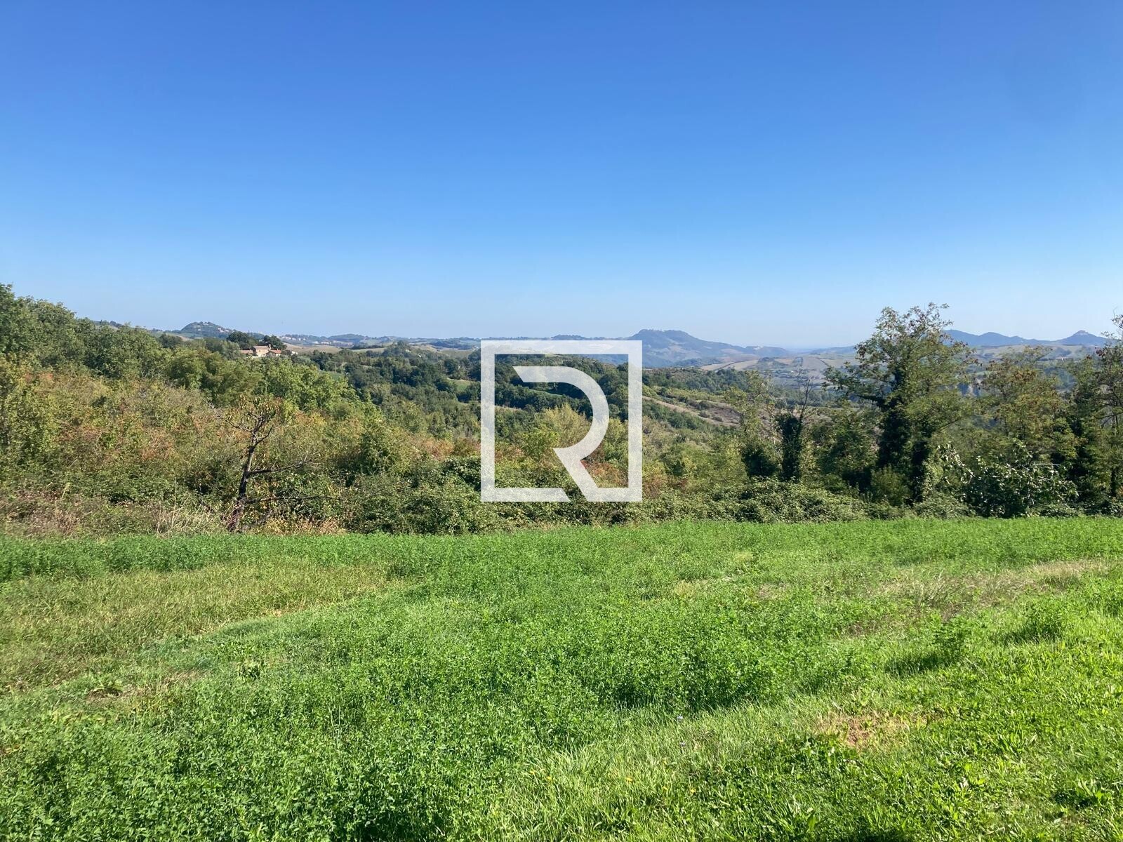 WhatsApp Image 2025-09-24 at 12.22.36 (2)