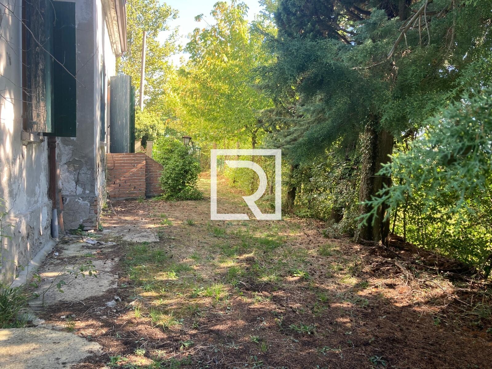 WhatsApp Image 2025-09-24 at 12.22.36 (1)