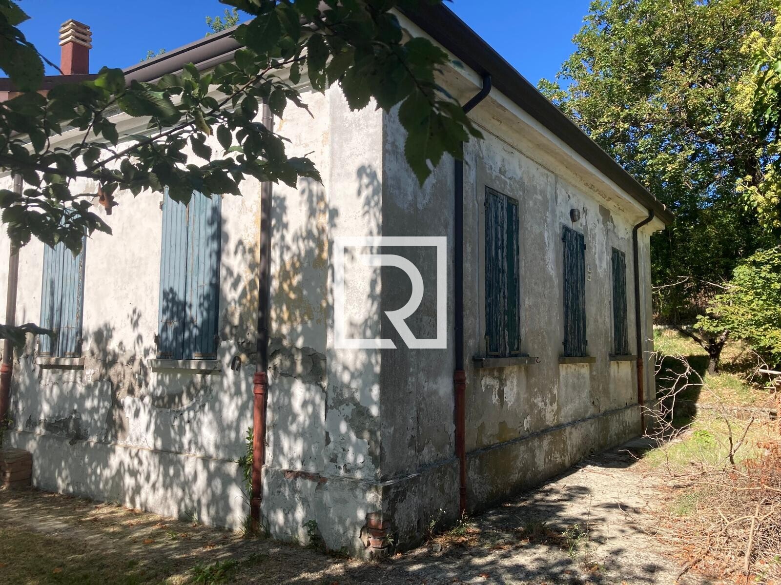 WhatsApp Image 2025-09-24 at 12.22.35