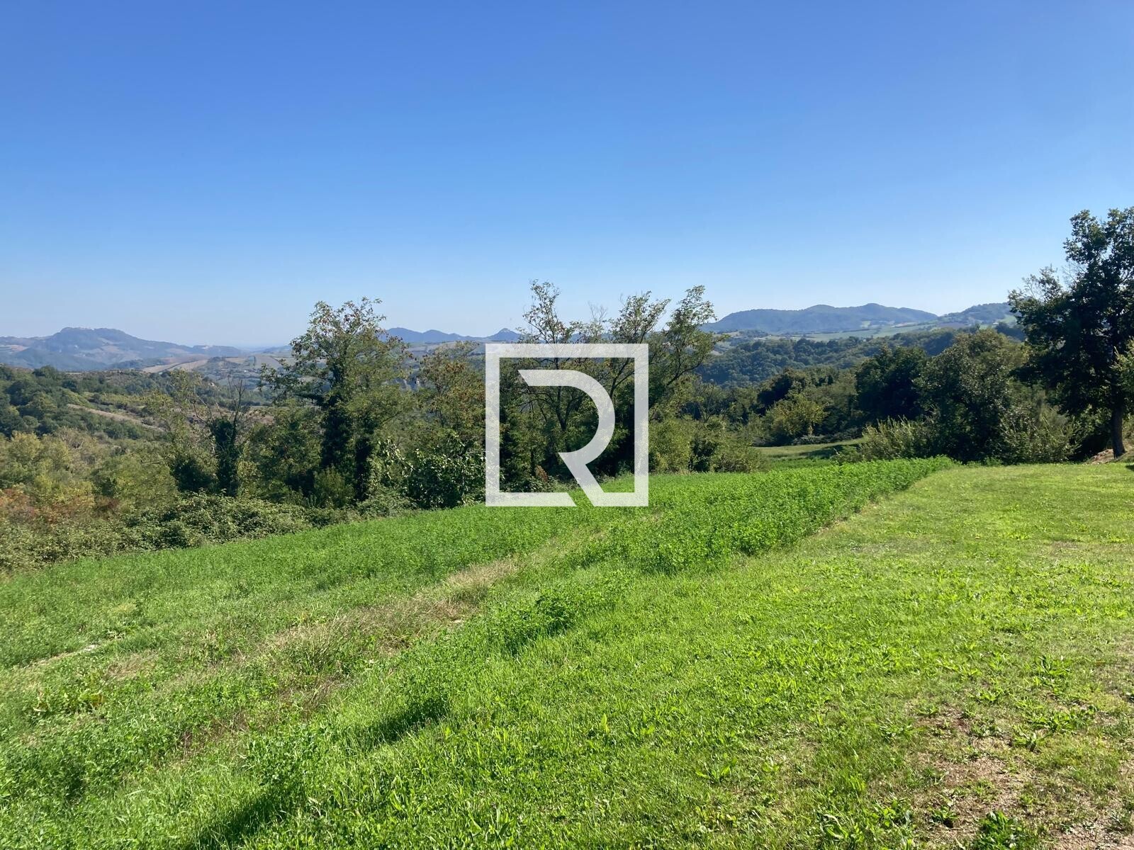 WhatsApp Image 2025-09-24 at 12.22.36 (3)