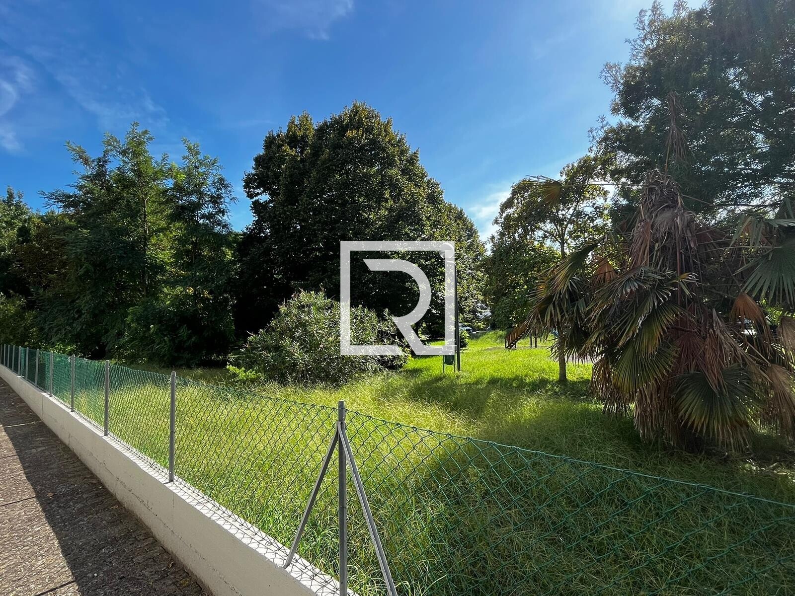 IMG-20250903-WA0055 (Copy)