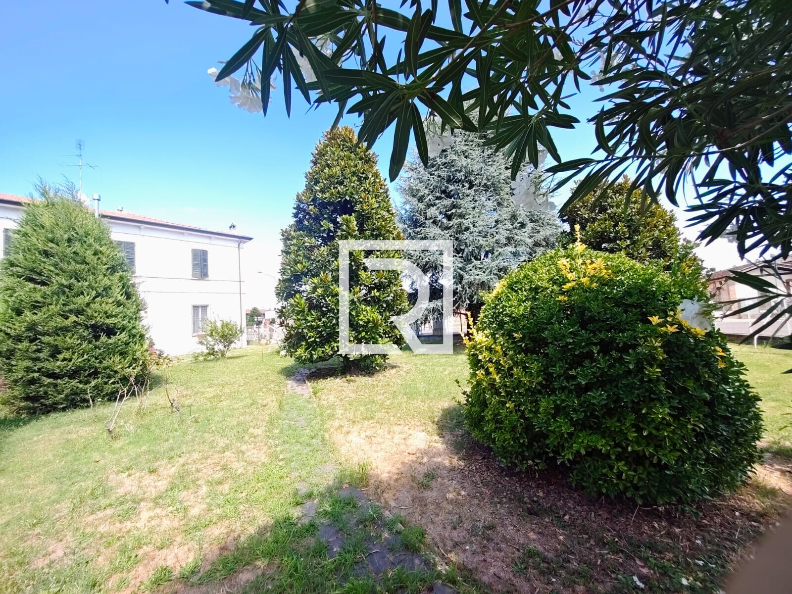 WhatsApp Image 2025-11-06 at 11.31.47 (6)