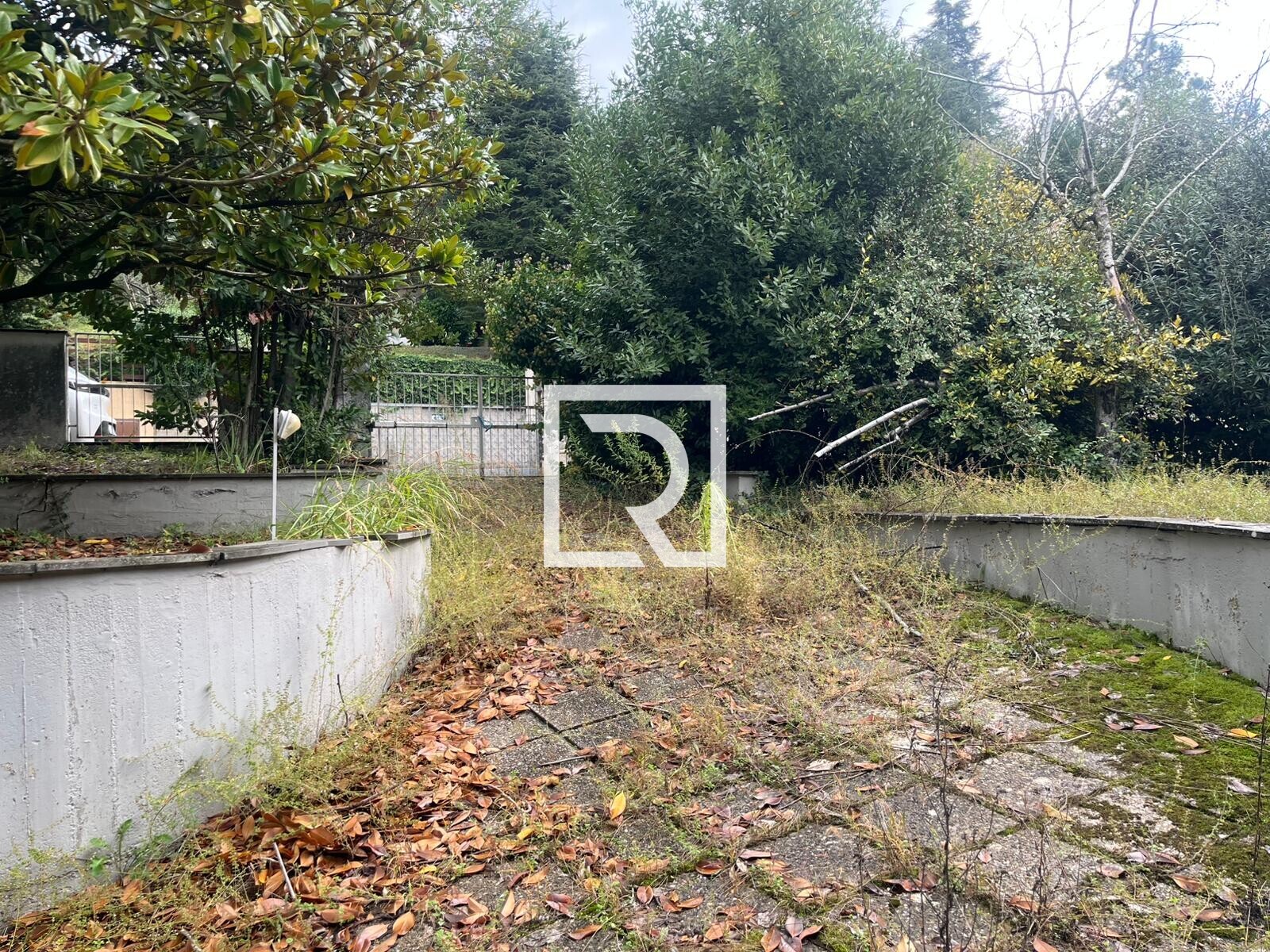 WhatsApp Image 2025-10-03 at 12.31.55