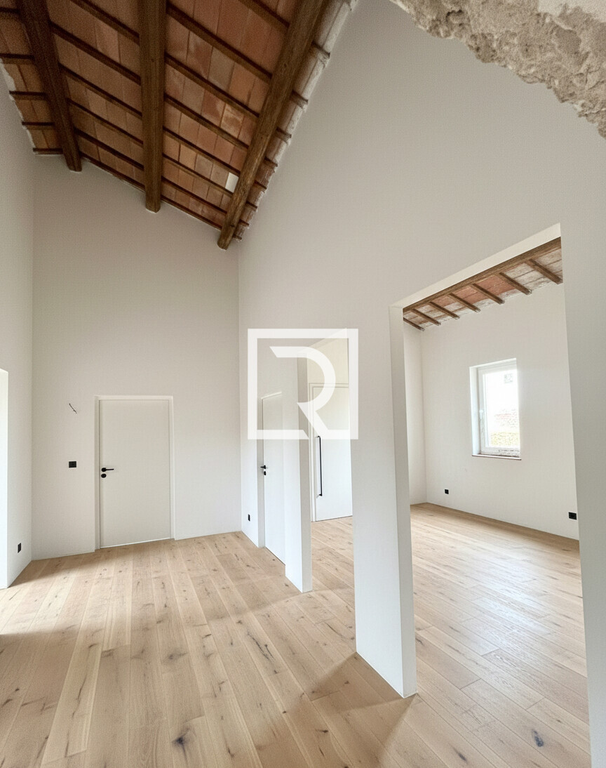 Gemini_Generated_Image_ctr03vctr03vctr0