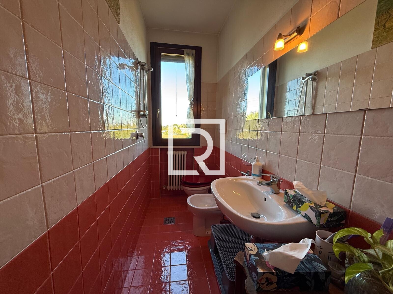 WhatsApp Image 2025-10-07 at 18.24.13 (2)