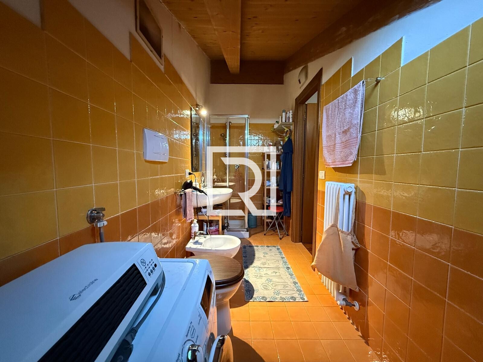 WhatsApp Image 2025-10-07 at 18.24.08 (3)