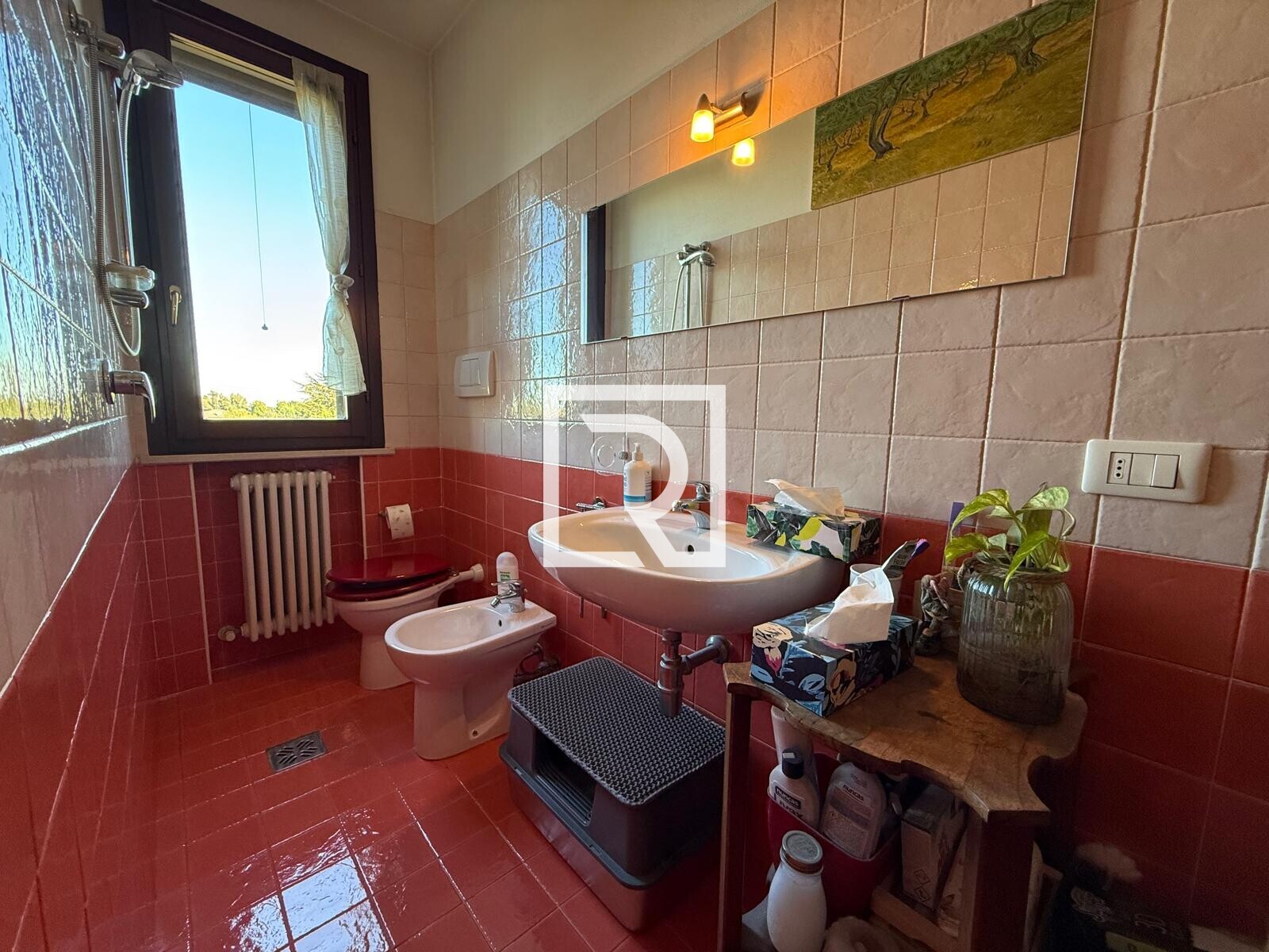 WhatsApp Image 2025-10-07 at 18.24.13 (1)