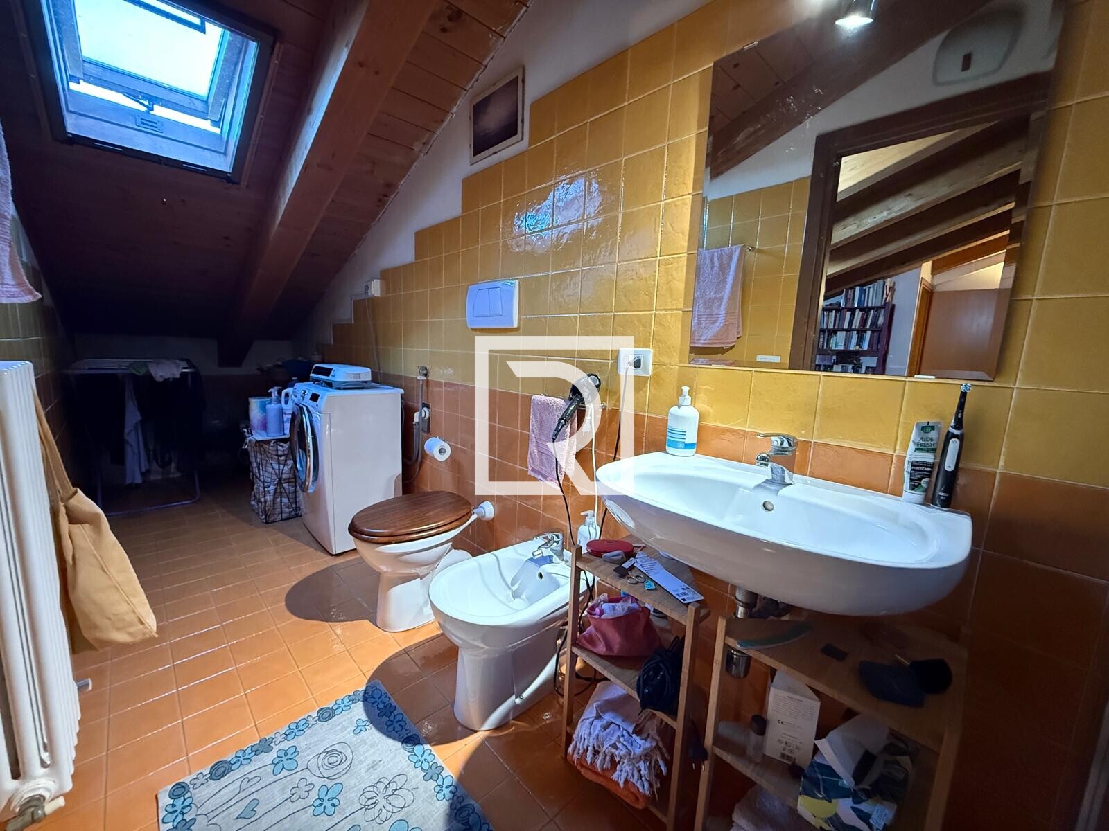 WhatsApp Image 2025-10-07 at 18.24.09