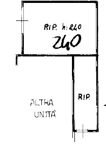 Immagine 2025-10-09 153625