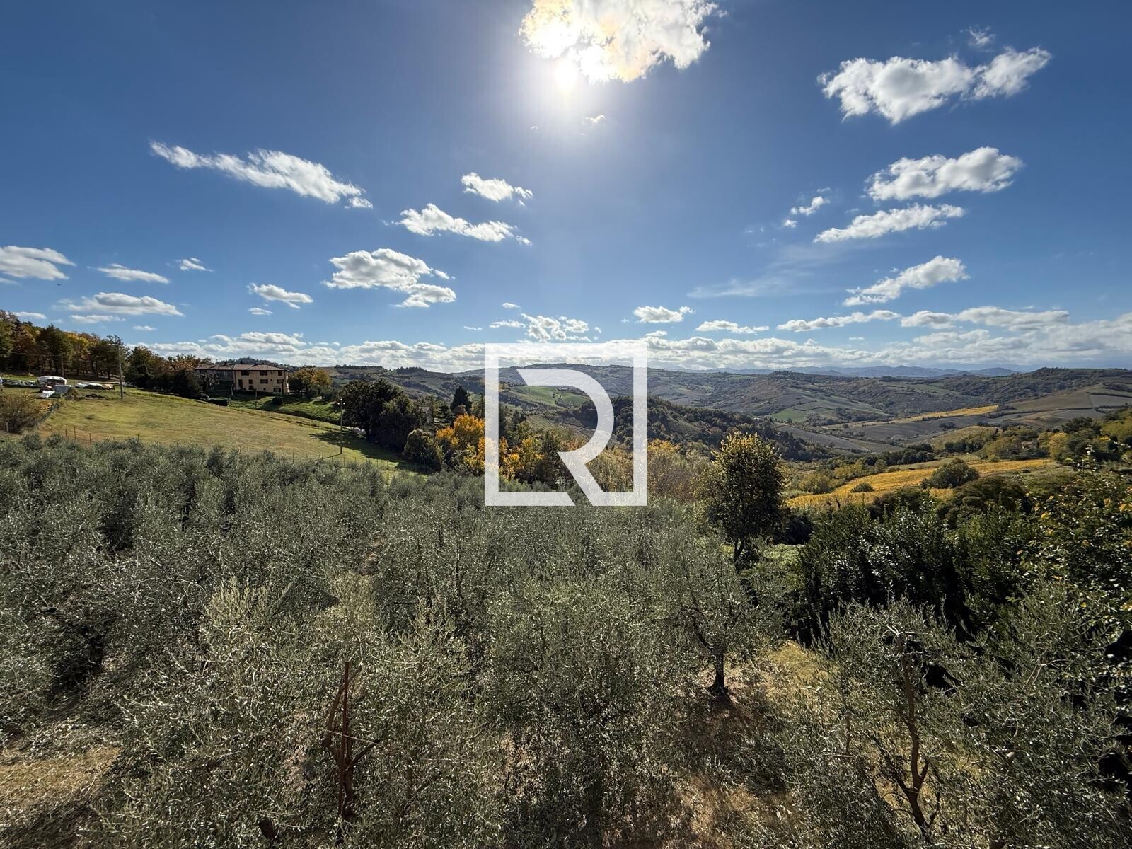 WhatsApp Image 2025-10-29 at 13.08.29 (2)