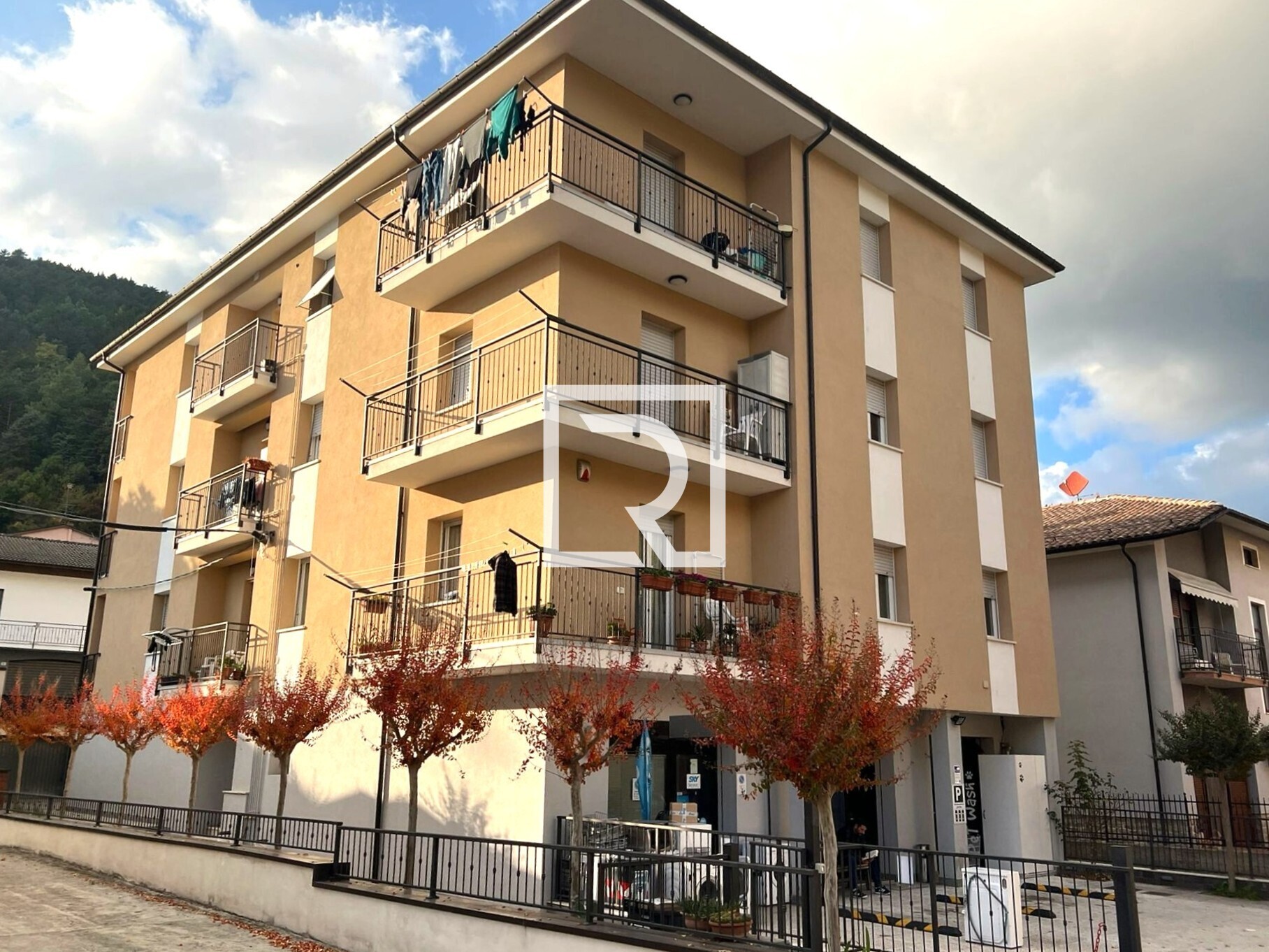 WhatsApp Image 2025-10-17 at 11.33.59