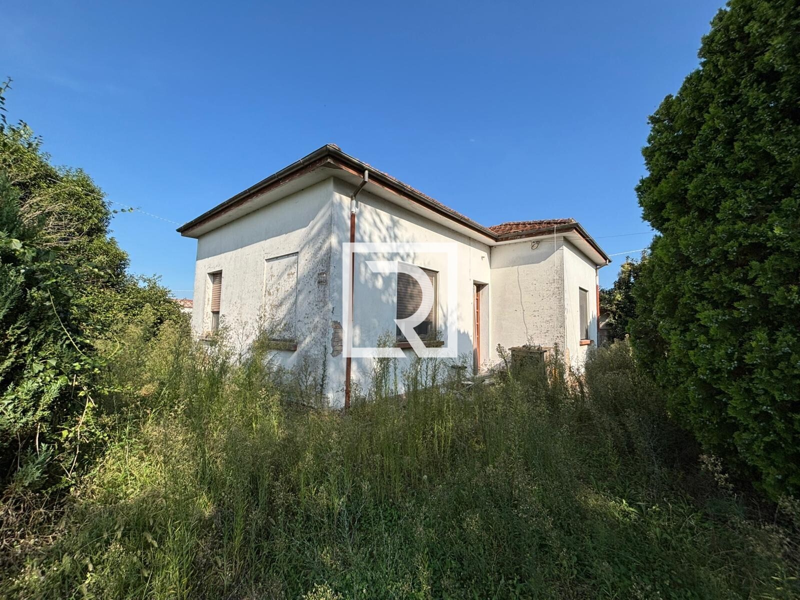 WhatsApp Image 2025-09-18 at 16.37.18 (1)