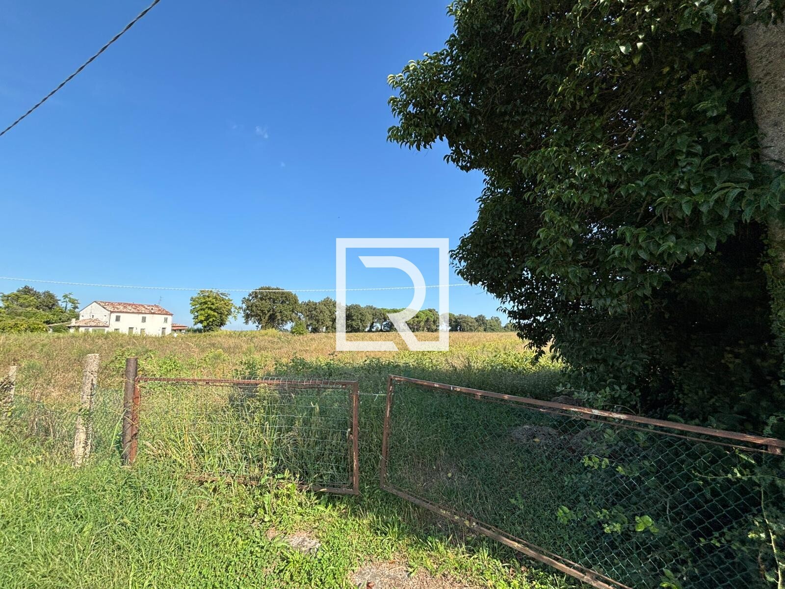 WhatsApp Image 2025-09-18 at 16.37.02