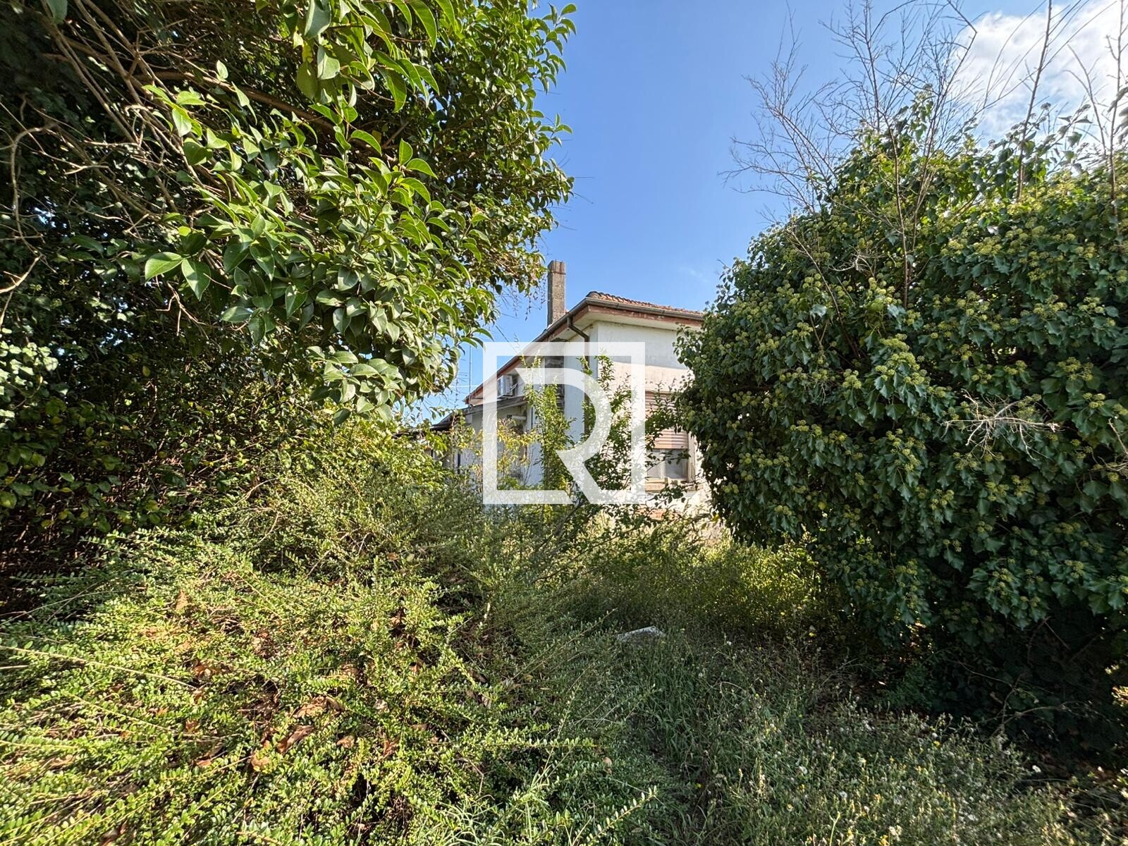 WhatsApp Image 2025-09-18 at 16.37.18