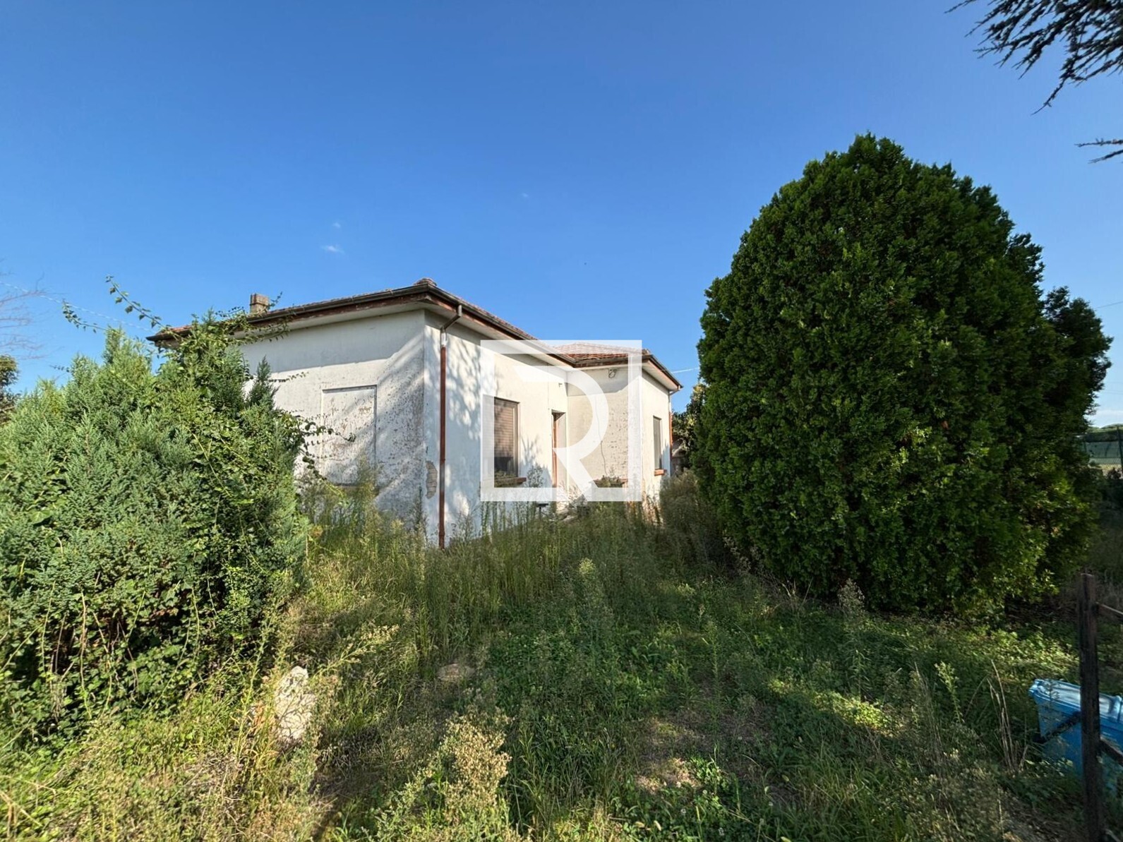 WhatsApp Image 2025-09-18 at 16.37.19