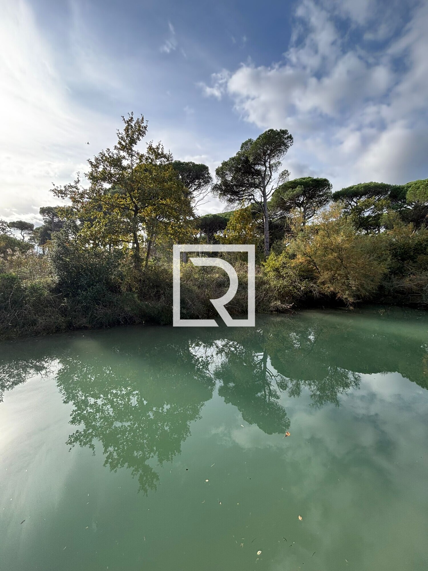 0948784d-b15c-42f9-bc59-b5398def4be2