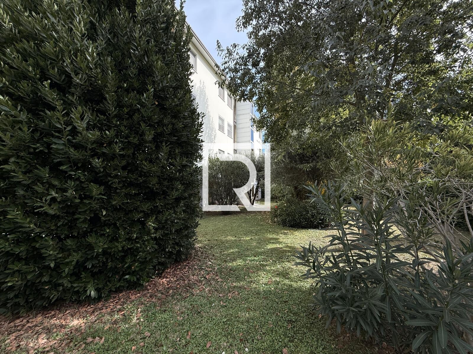 WhatsApp Image 2025-10-27 at 15.26.07 (1)