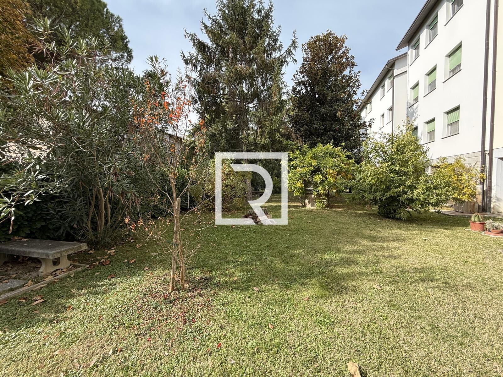 WhatsApp Image 2025-10-27 at 15.26.07 (3)