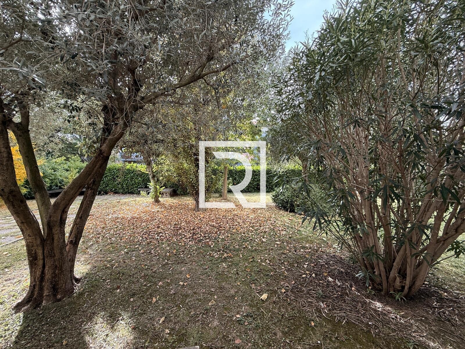 WhatsApp Image 2025-10-27 at 15.26.06 (2)