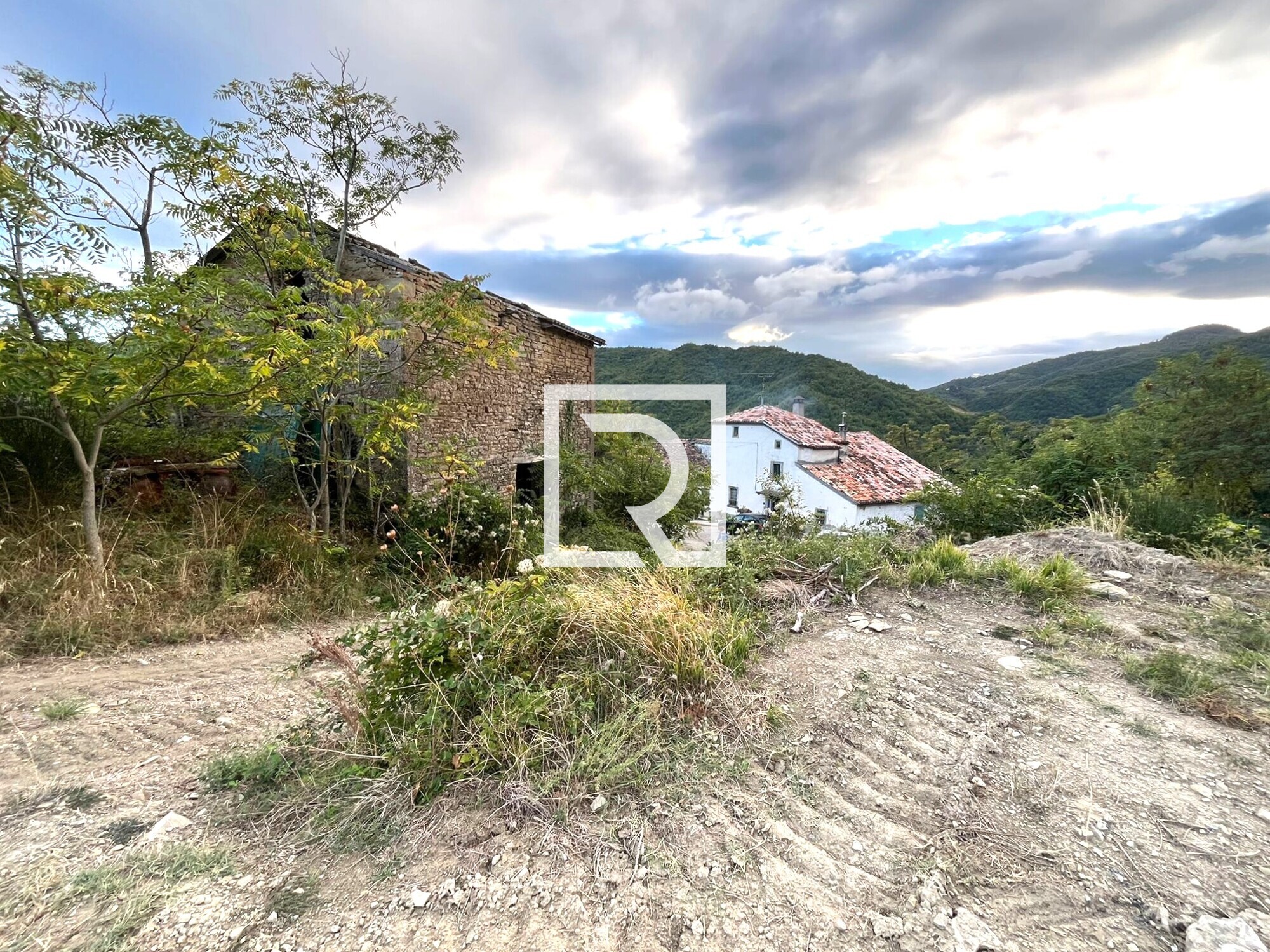 WhatsApp Image 2025-09-29 at 15.27.57 (15)