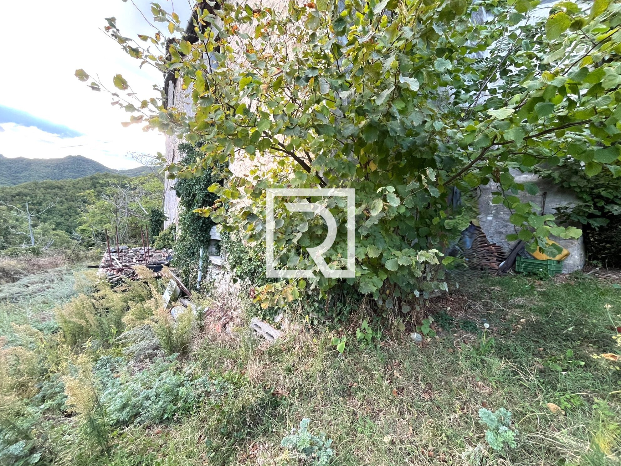 WhatsApp Image 2025-09-29 at 15.27.58 (6)