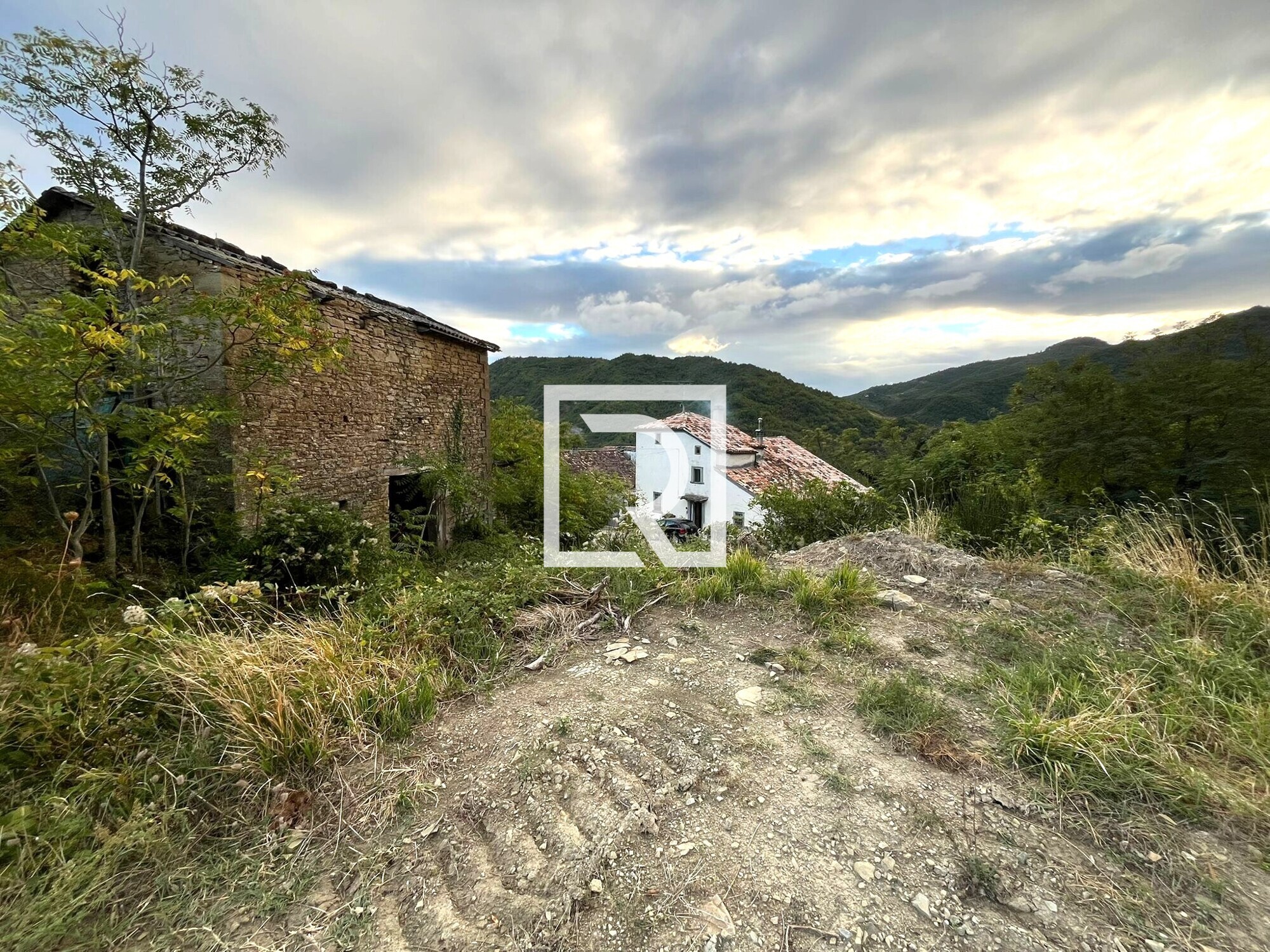 WhatsApp Image 2025-09-29 at 15.27.58