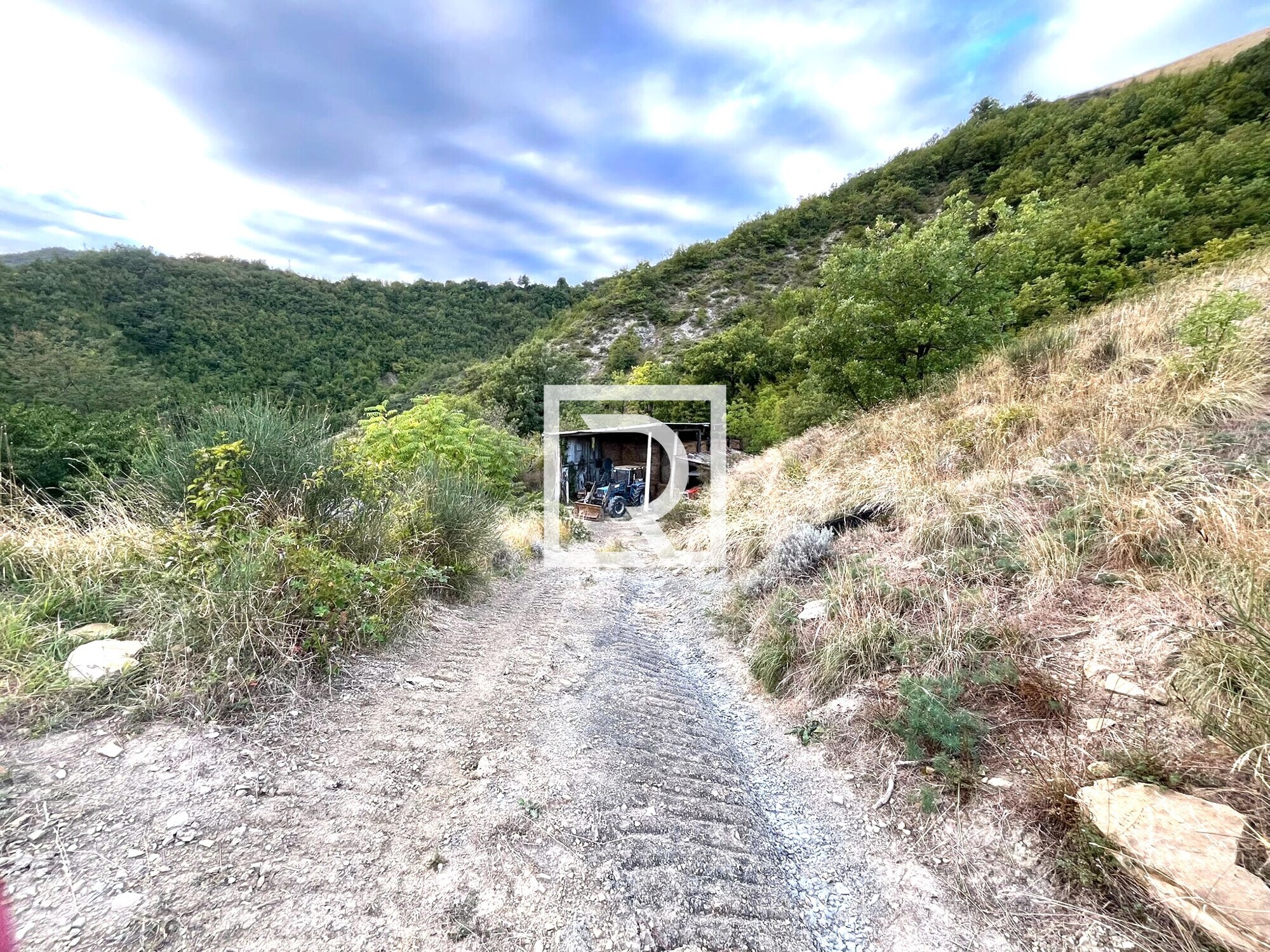 WhatsApp Image 2025-09-29 at 15.27.58 (1)