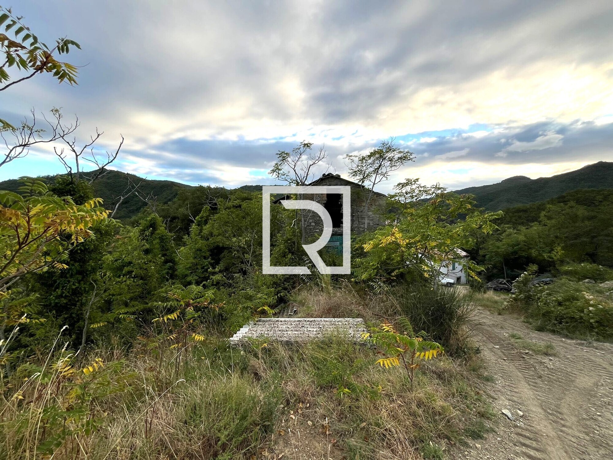 WhatsApp Image 2025-09-29 at 15.27.58 (3)