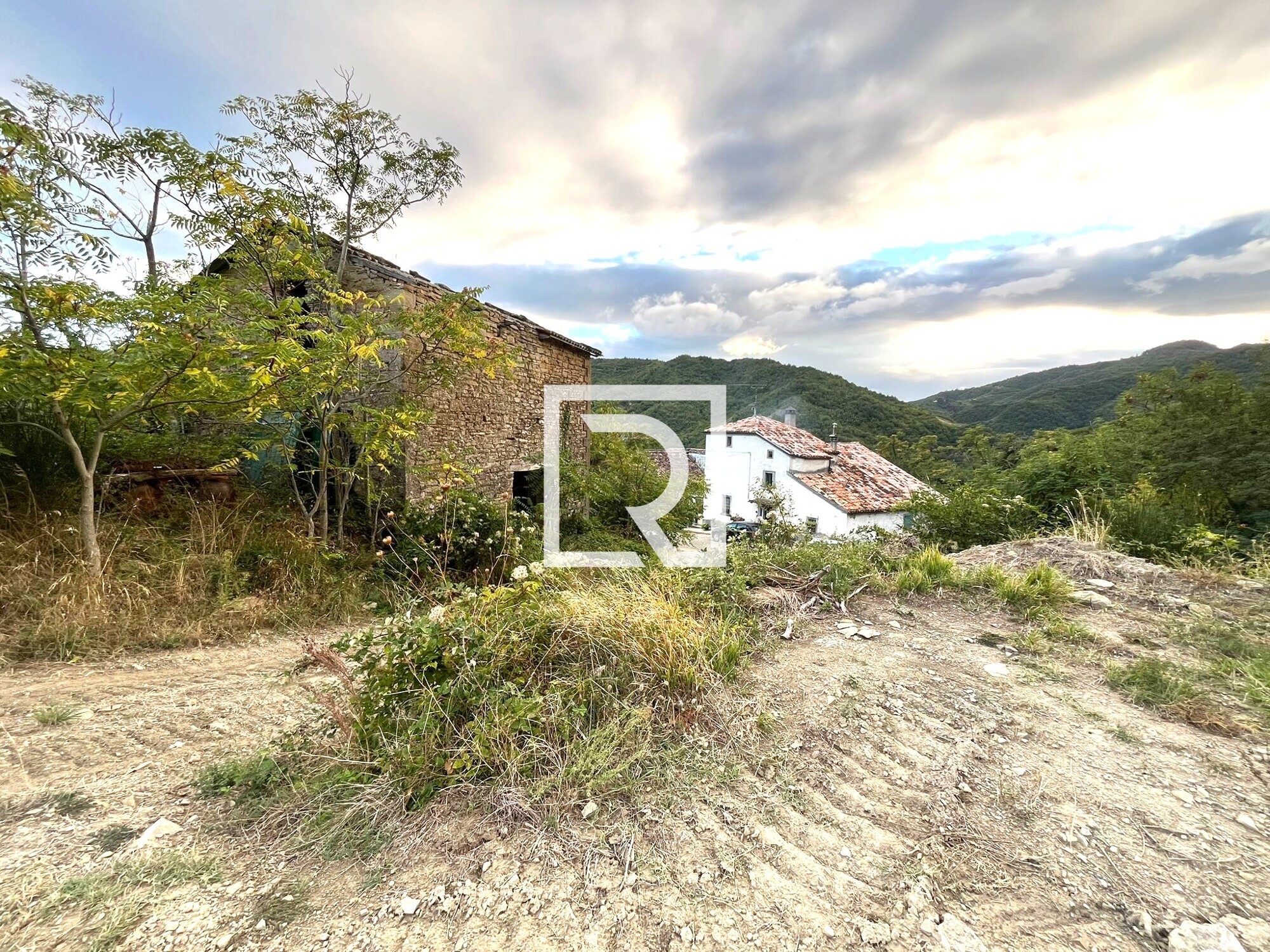 WhatsApp Image 2025-09-29 at 15.27.57 (16)