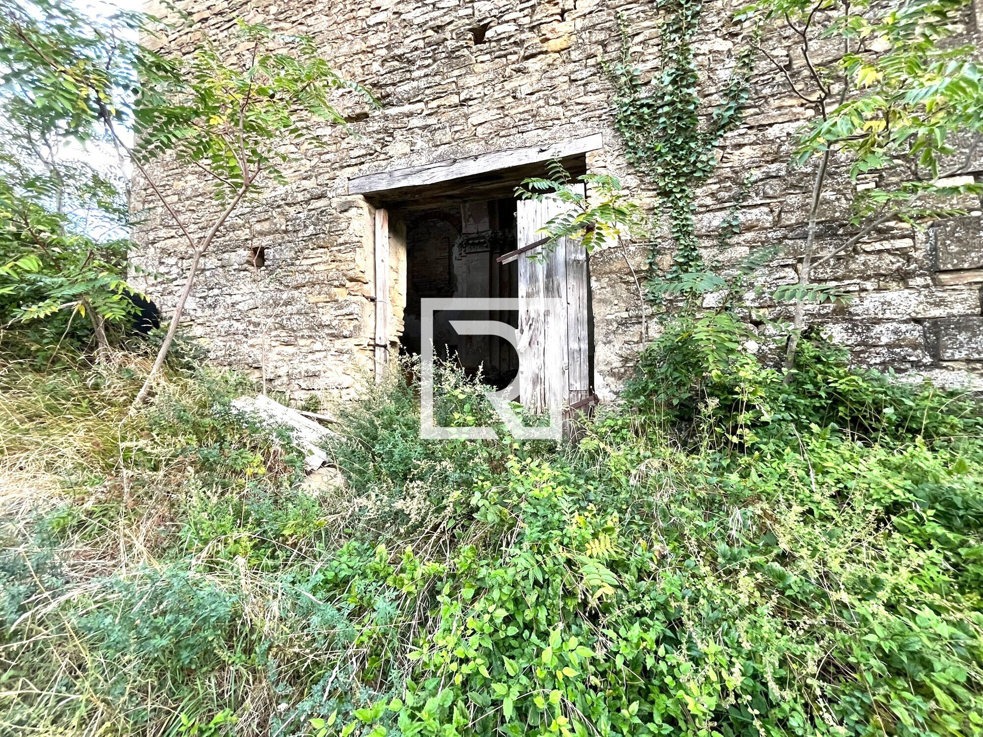 WhatsApp Image 2025-09-29 at 15.27.57 (11)