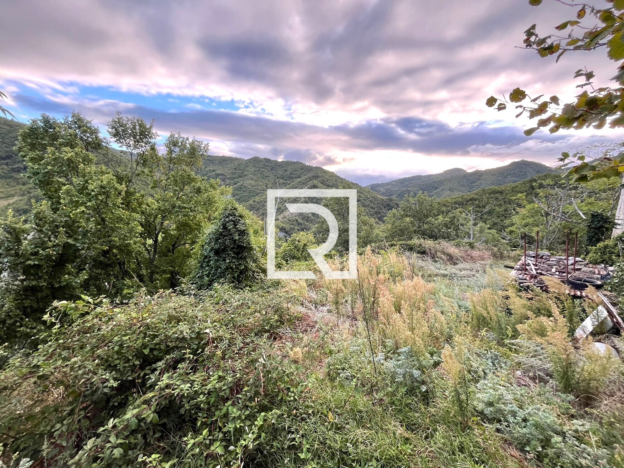 WhatsApp Image 2025-09-29 at 15.27.58 (8)