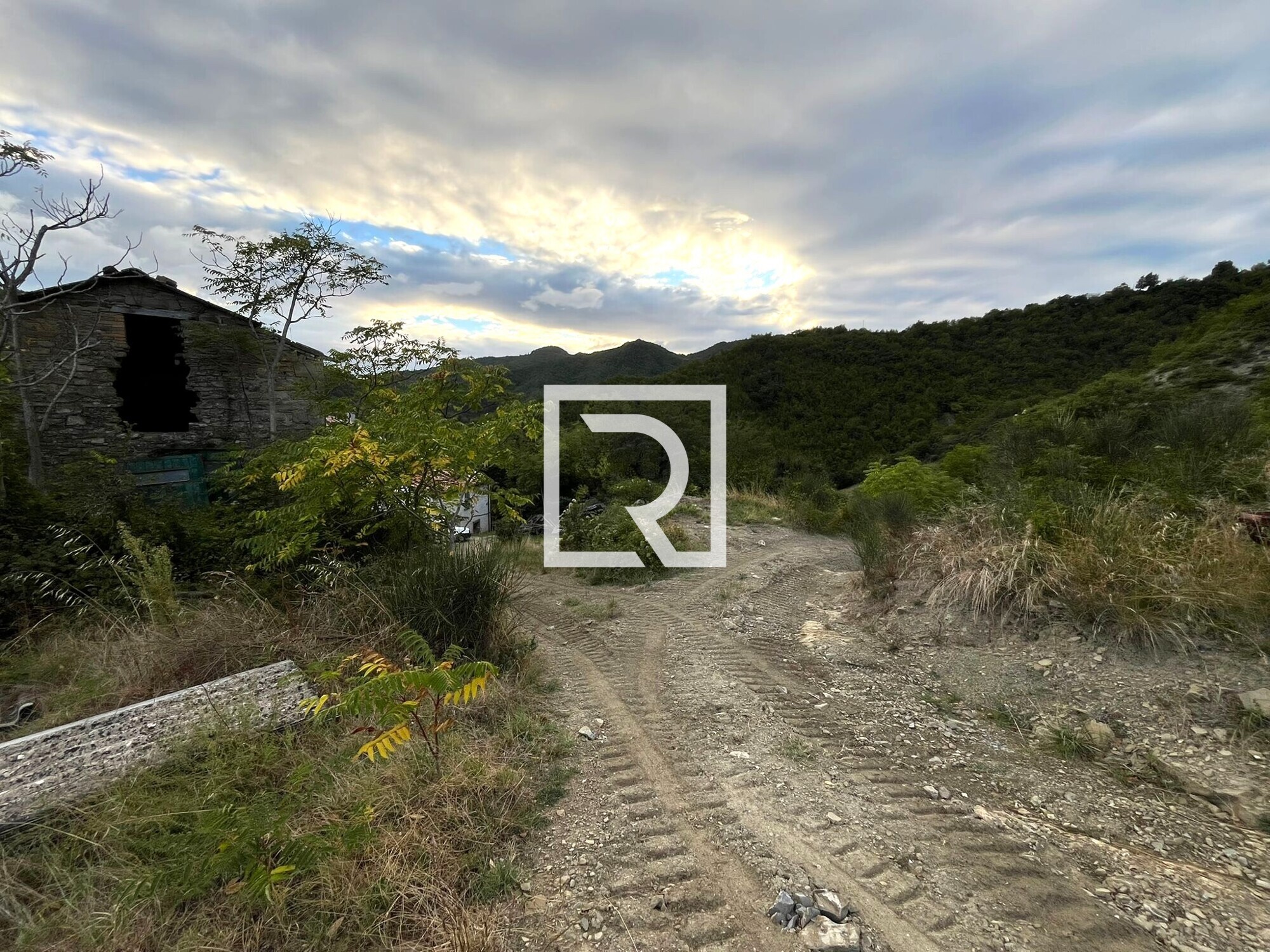 WhatsApp Image 2025-09-29 at 15.27.58 (2)