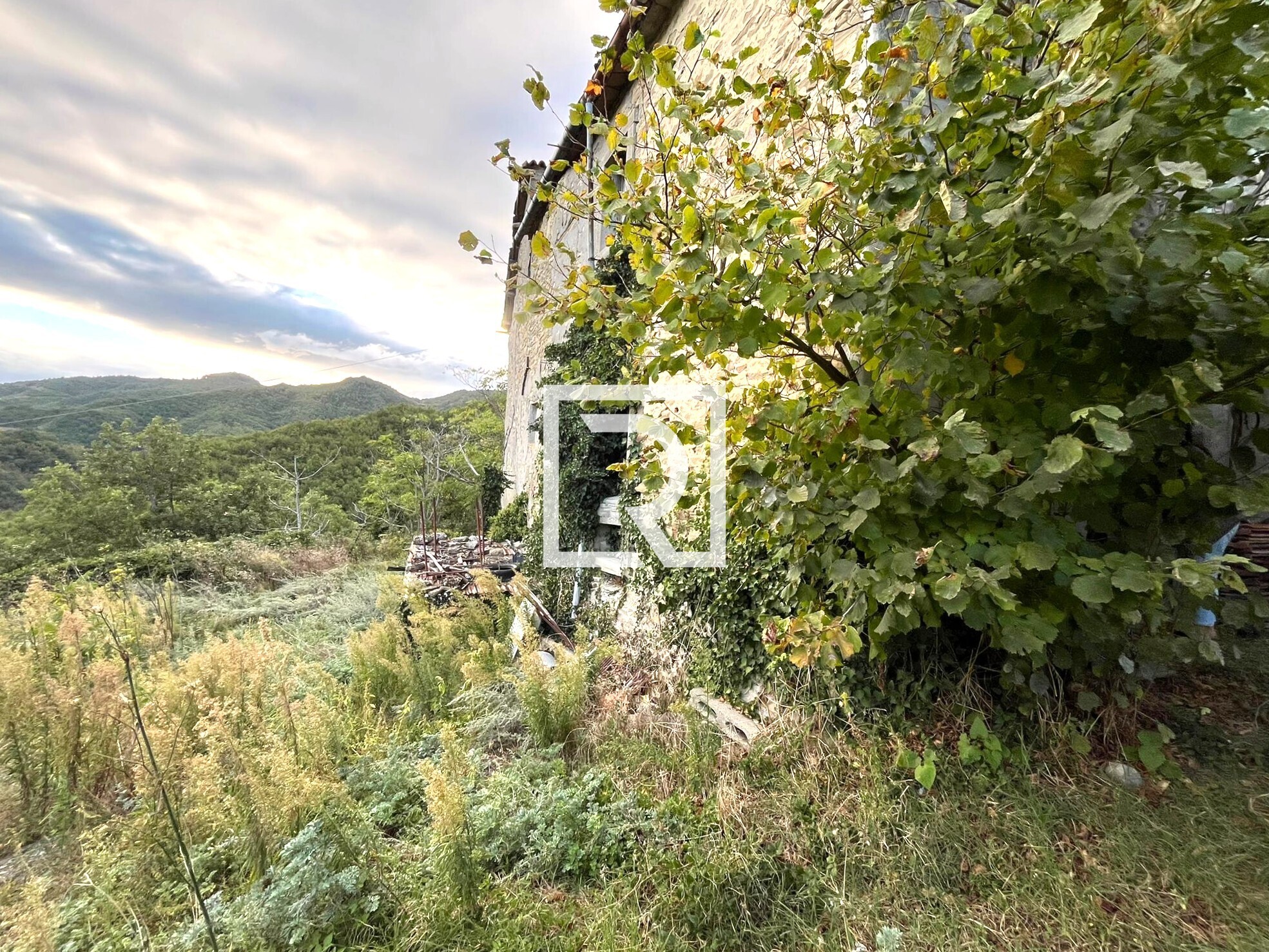 WhatsApp Image 2025-09-29 at 15.27.58 (7)