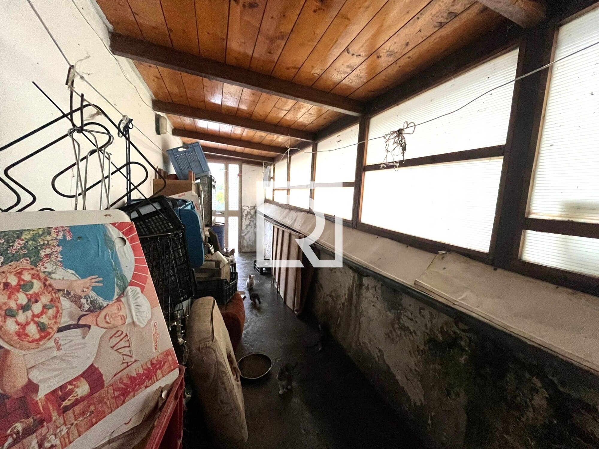 WhatsApp Image 2025-09-29 at 15.27.41