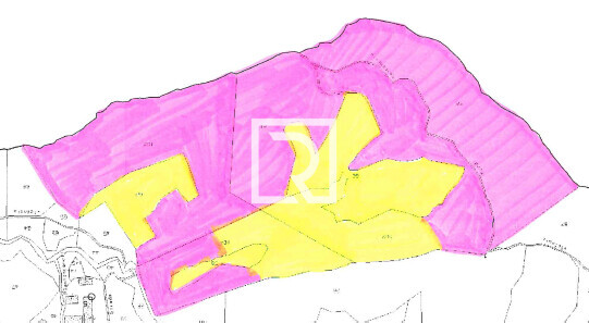 Immagine 2025-10-31 114547