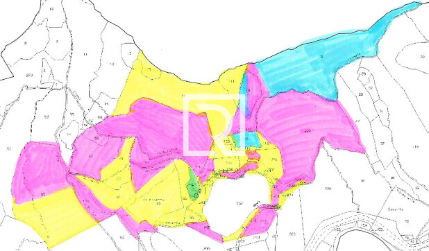 Immagine 2025-10-31 114657