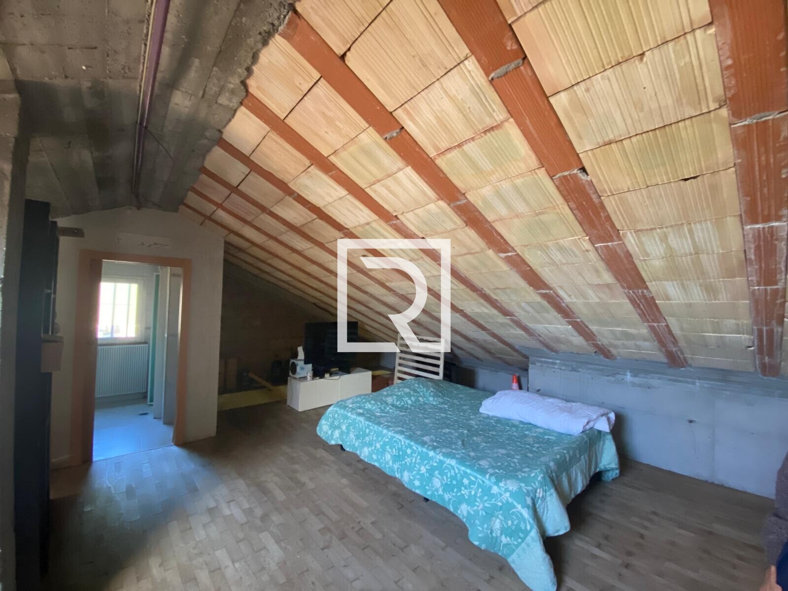 Immagine WhatsApp 2025-11-03 ore 12.08.45_42df4f7c