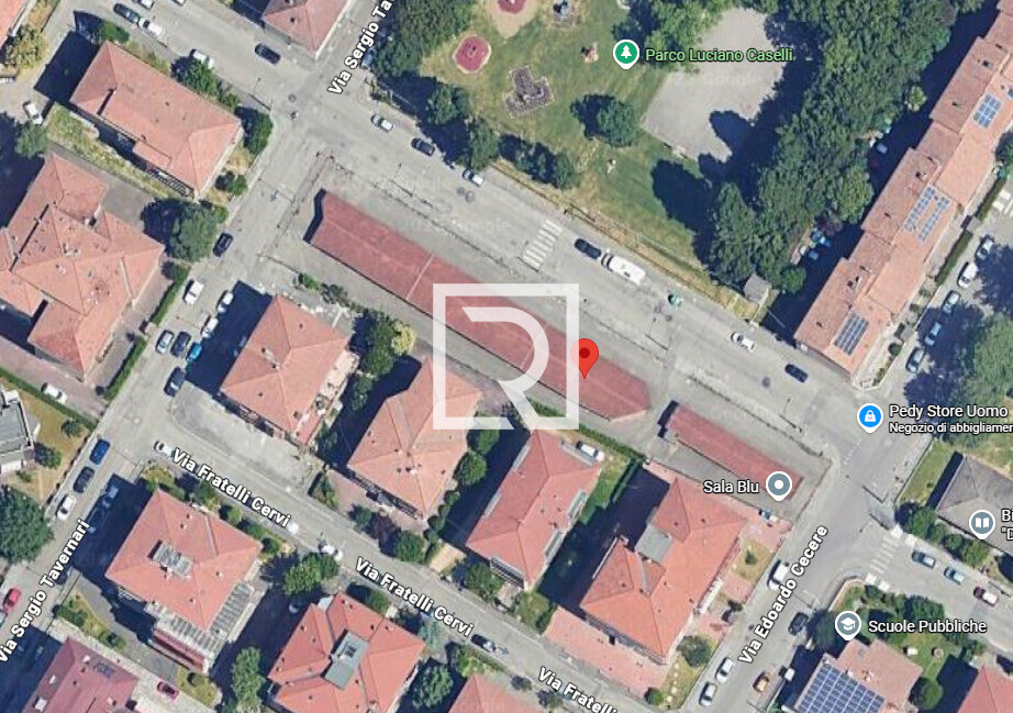 Immagine 2025-11-05 153513