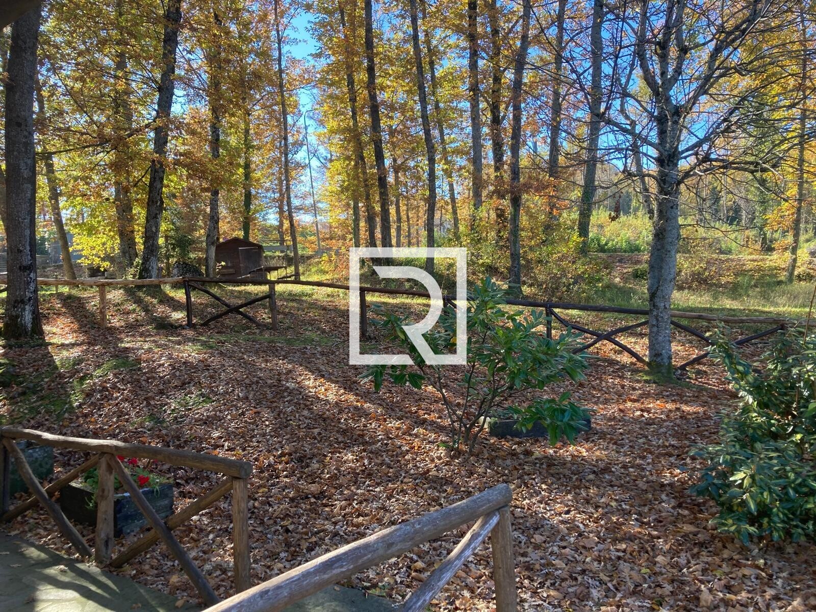 WhatsApp Image 2025-11-06 at 15.59.56 (3)