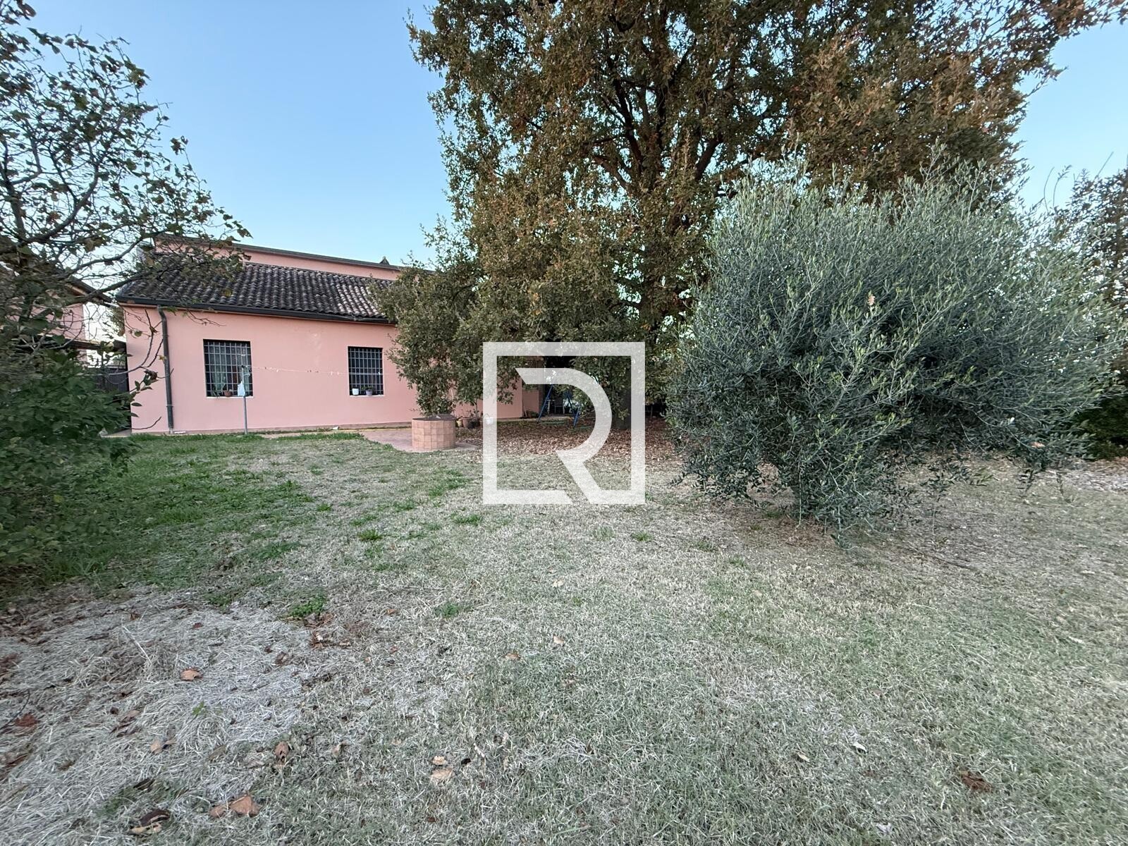 WhatsApp Image 2025-11-07 at 09.21.01