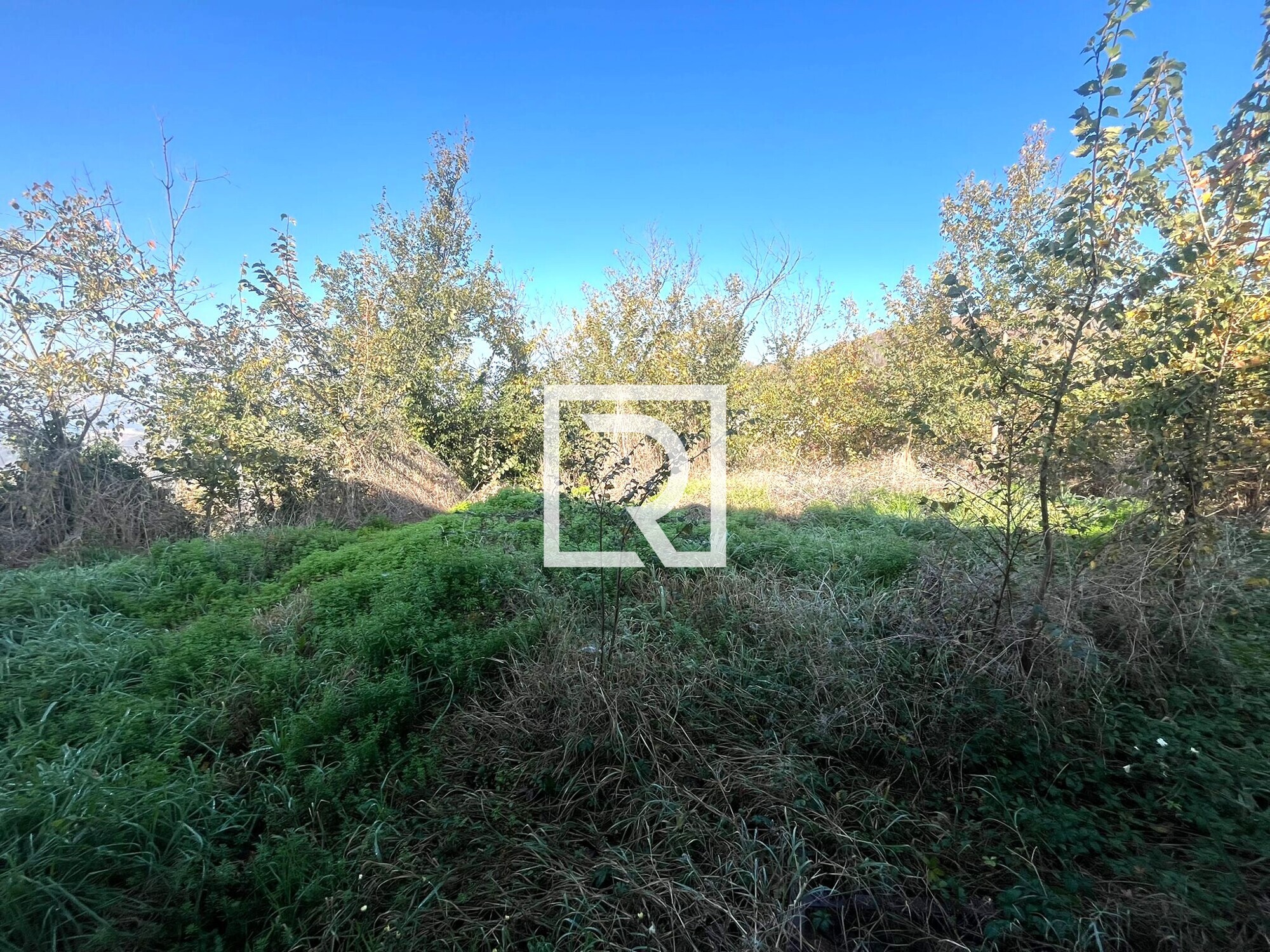 WhatsApp Image 2025-11-06 at 16.50.06