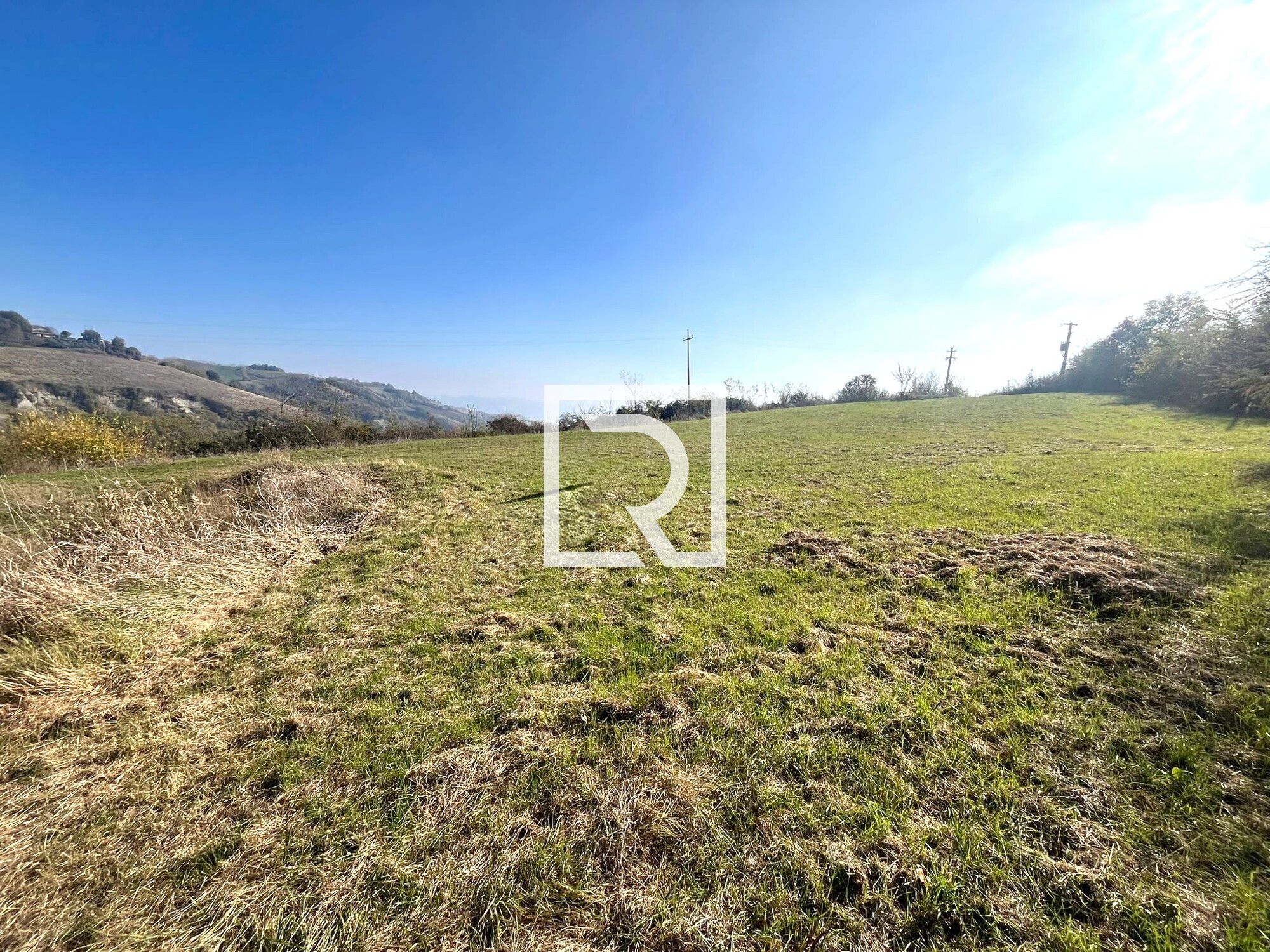 WhatsApp Image 2025-11-06 at 16.50.06 (3)