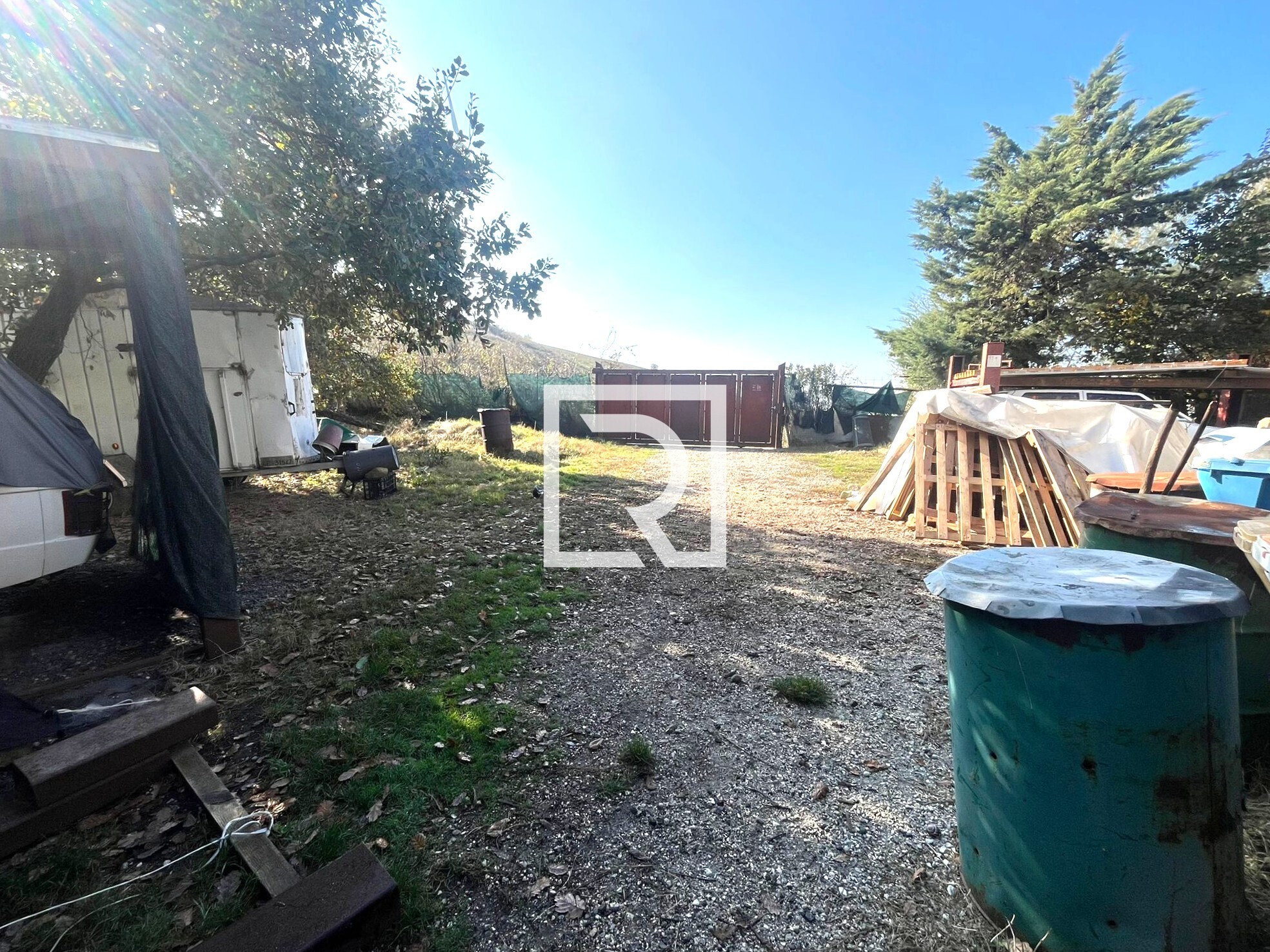 WhatsApp Image 2025-11-06 at 16.50.06 (1)